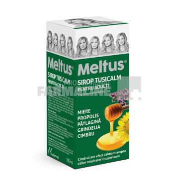 Meltus Expectolin pentru adulți, 100 ml, supliment alimentar, Labormed, sirop cu miere, iederă, zinc, acetilcisteină