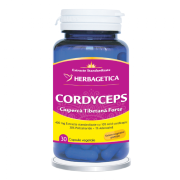 Cordyceps 10/30/1, 30 capsule, Herbagetica