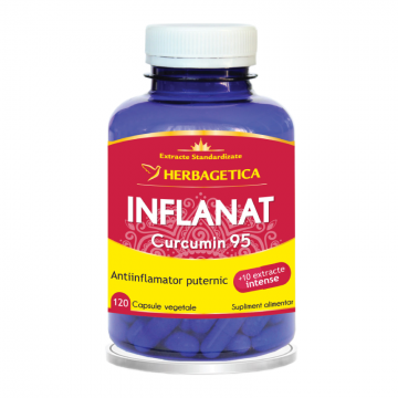 Inflanat Curcumin 95, 120 capsule, Herbagetica