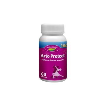 Arto protect 60cps INDIAN HERBAL