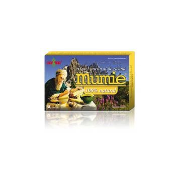 Extract de rasina mumie 100% natural-tablete 60tbl DAMAR