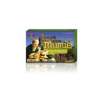 Extract de rasina mumie cu propolis-tablete 60tbl DAMAR