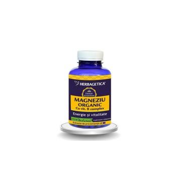 Magneziu organic cu vitamina b complex 120cps HERBAGETICA