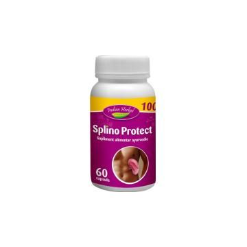 Splino protect 60cps INDIAN HERBAL