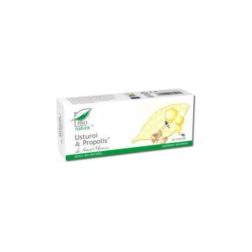 Usturoi & propolis 30cps PRO NATURA