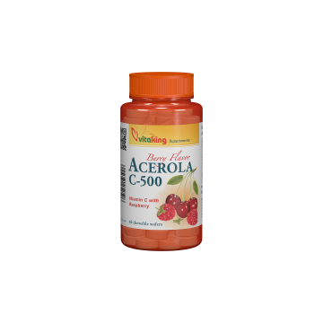 Vitamina c 500mg cu acerola 40cpr VITAKING