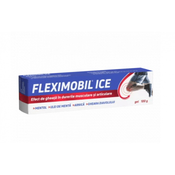 Fleximobil Ice Gel 100 g