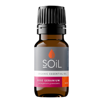 Ulei esential de Rose Geranium (Muscata), 10ml, SOiL