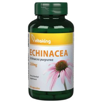 Extract de echinacea 250mg, 90 capsule, Vitaking