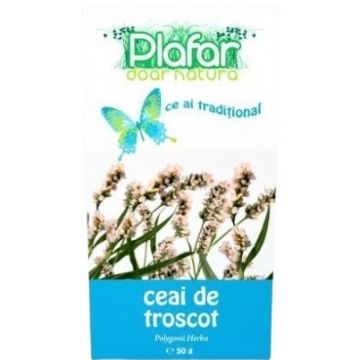 Ceai herba de troscot, 50g, Plafar