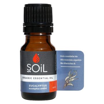 Ulei esential Eucalyptus 100% Organic, 10ml, Soil